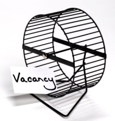 hamster wheel